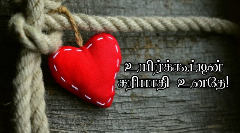 உயிர்க்கூட்டின் சரிபாதி உனதே – 19